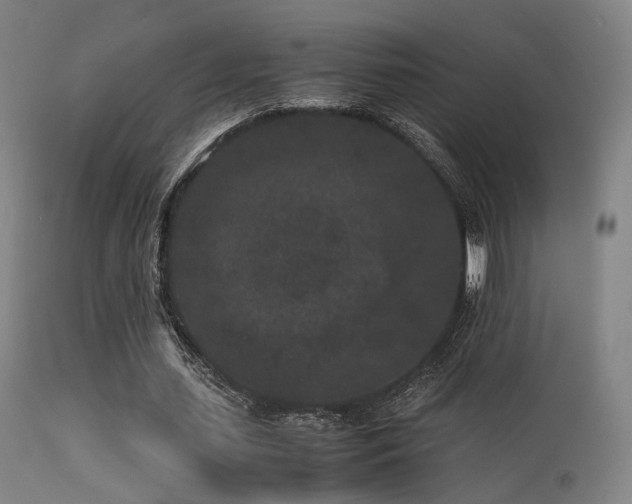 X0000113240627200909171603