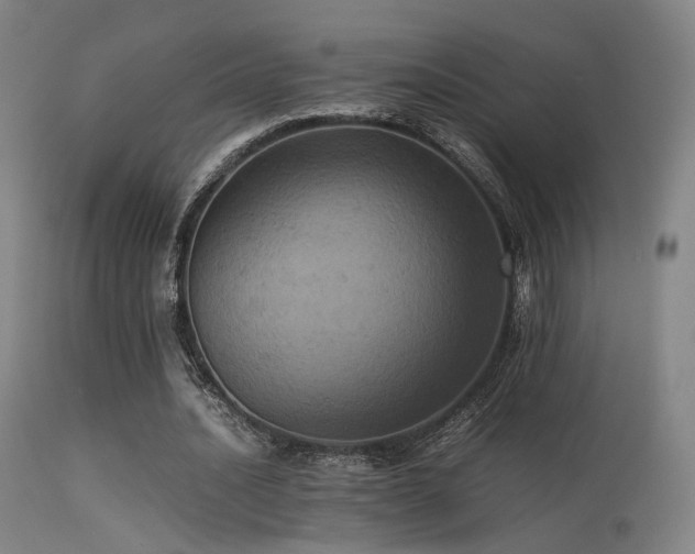 X0000113240628200909171603