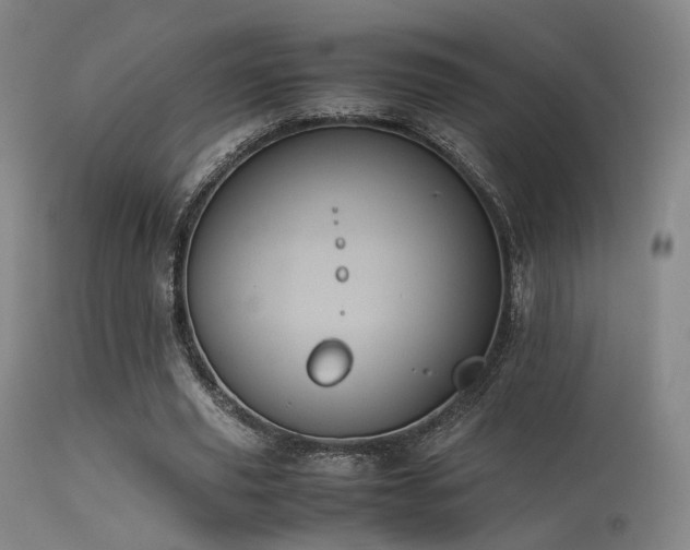 X0000113240629200909171603