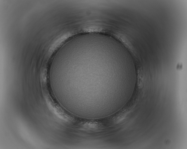 X0000113240631200909171603