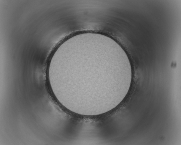 X0000113240632200909171603