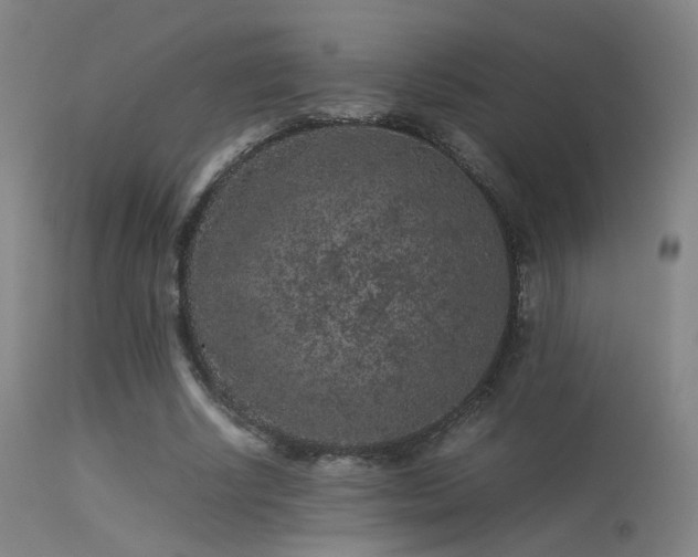 X0000113240634200909171603