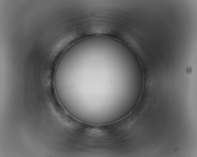 X0000113240635200909171603