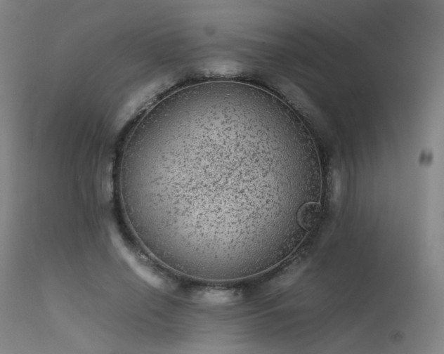 X0000113240638200909171603