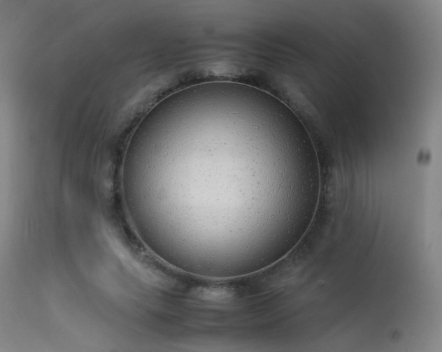 X0000113240639200909171603