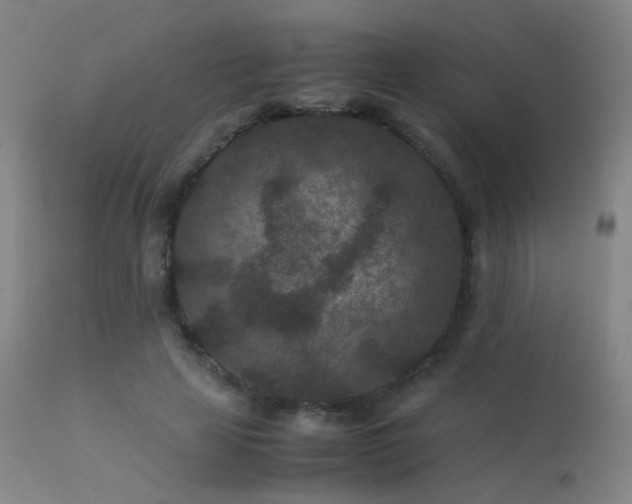 X0000113240641200909171603