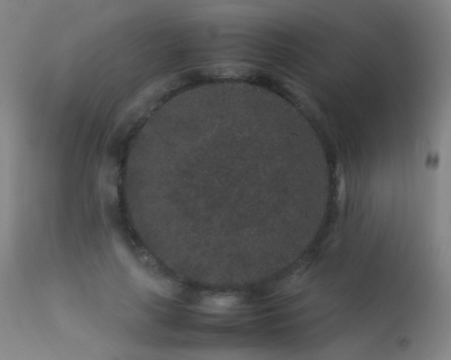 X0000113240643200909171603