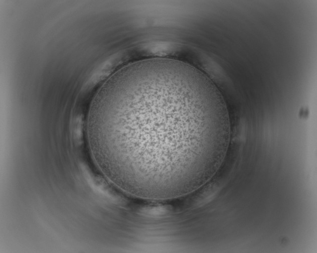 X0000113240646200909171603