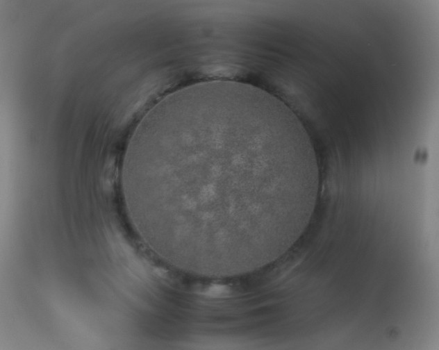 X0000113240647200909171603