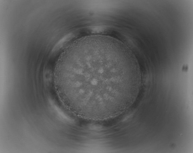 X0000113240648200909171603