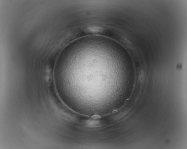 X0000113240651200909171604