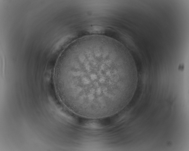 X0000113240652200909171604