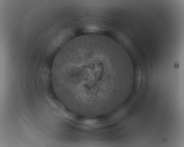 X0000113240653200909171604