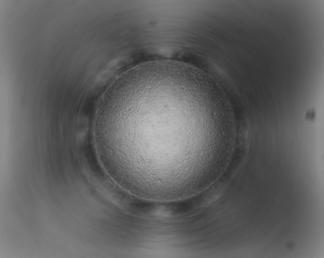 X0000113240656200909171604