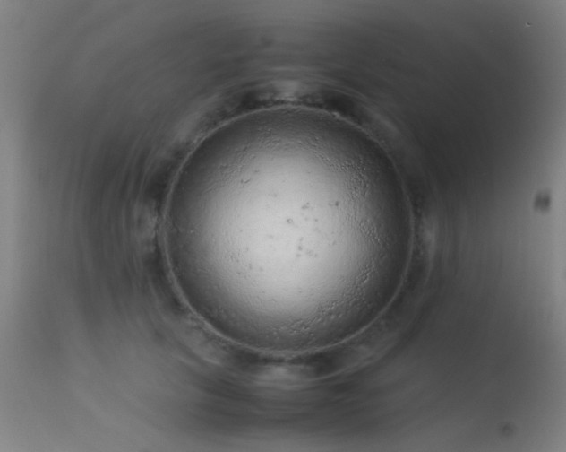 X0000113240657200909171604