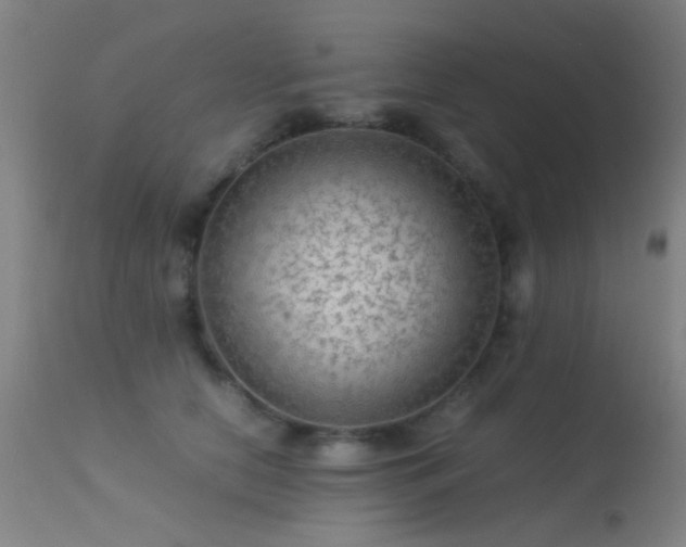 X0000113240658200909171604