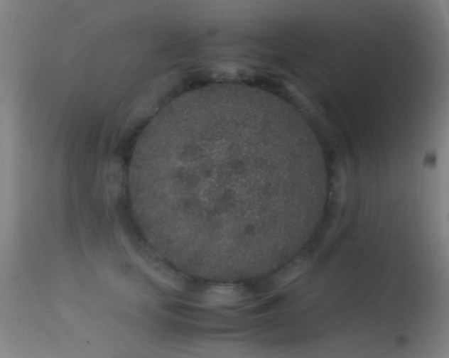 X0000113240659200909171604