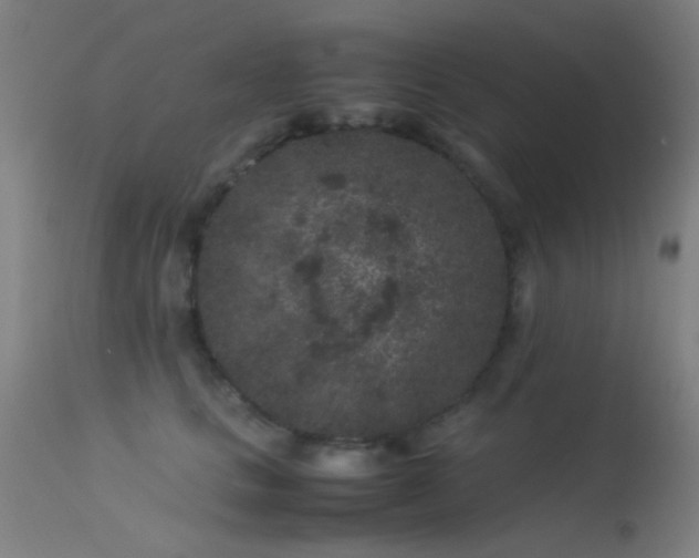 X0000113240661200909171604