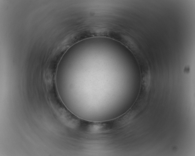 X0000113240662200909171604