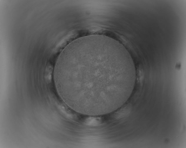 X0000113240664200909171604