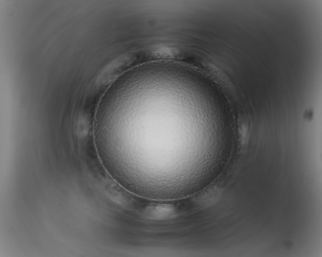 X0000113240665200909171604