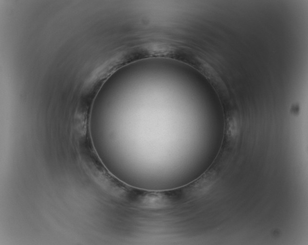 X0000113240666200909171604