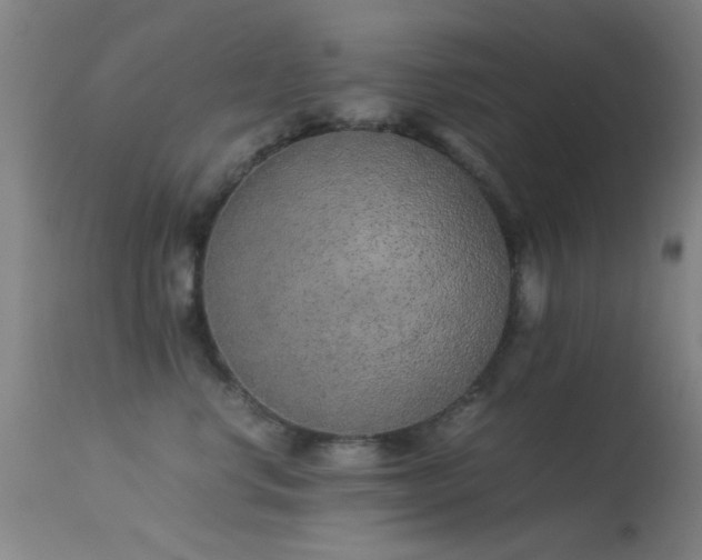 X0000113240668200909171604