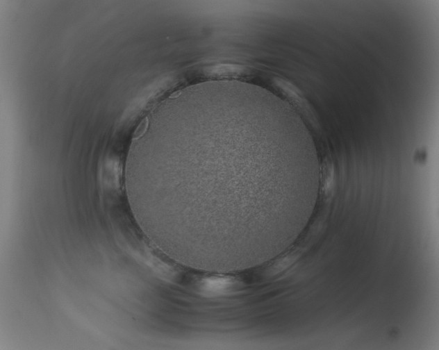 X0000113240669200909171604