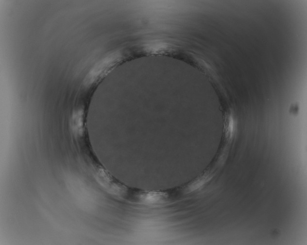 X0000113240670200909171604