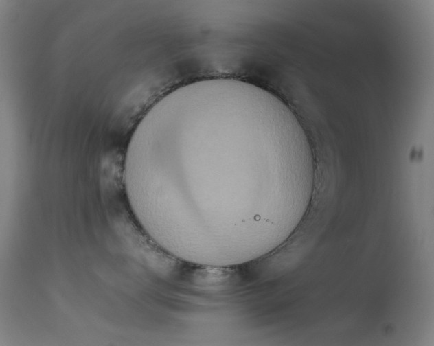 X0000113240672200909171604