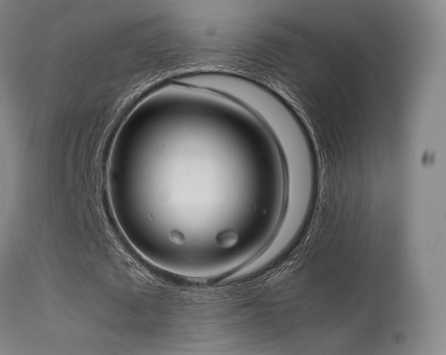 X0000113240673200909171603