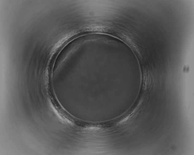 X0000113240674200909171603