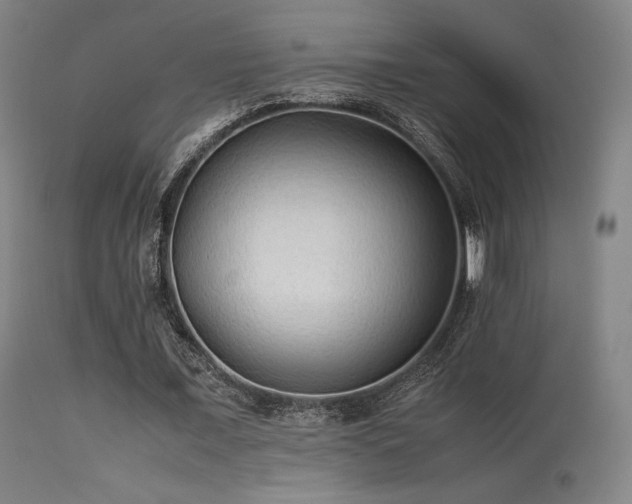 X0000113240675200909171603