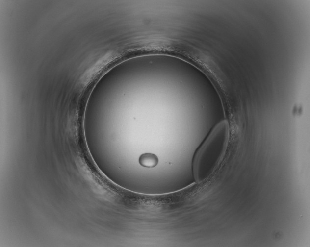 X0000113240677200909171603