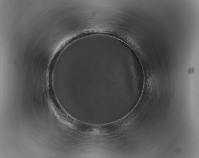 X0000113240678200909171603