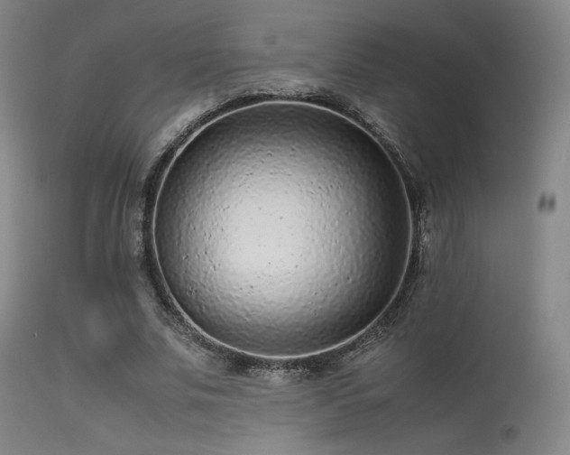 X0000113240679200909171603