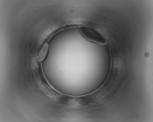 X0000113240680200909171603