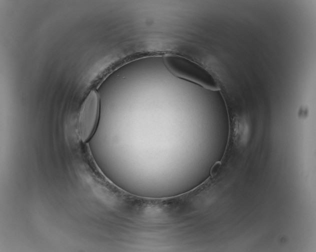 X0000113240684200909171603