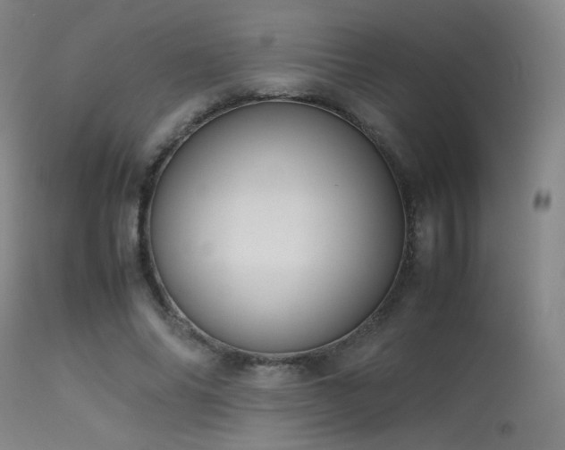 X0000113240686200909171603