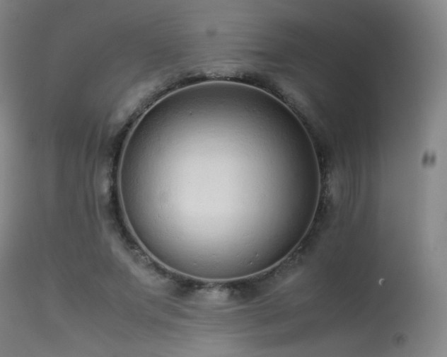 X0000113240687200909171603