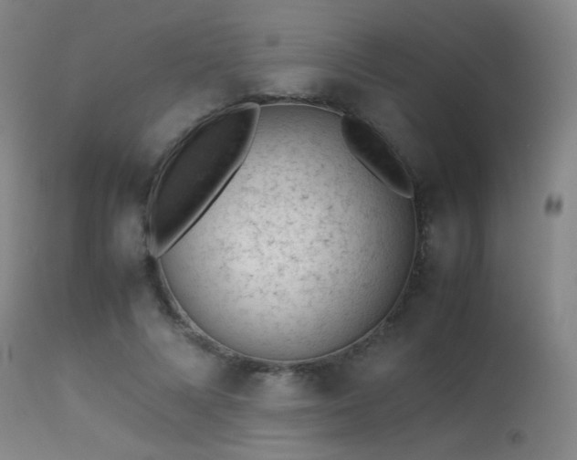 X0000113240688200909171603