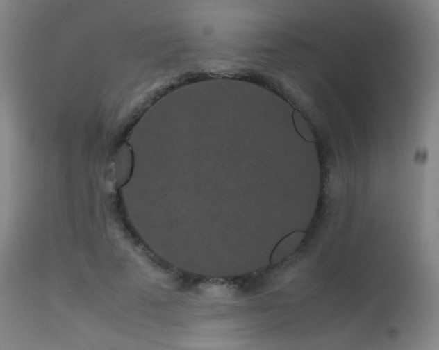 X0000113240689200909171603