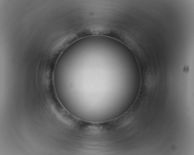 X0000113240690200909171603