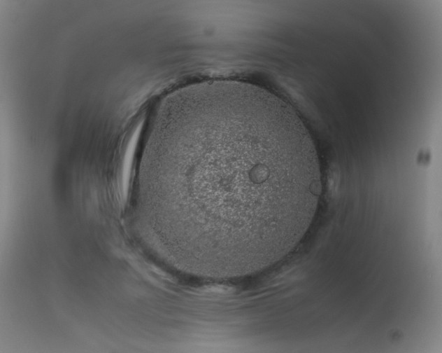 X0000113240691200909171603