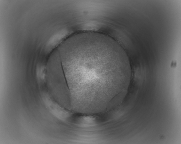 X0000113240692200909171603