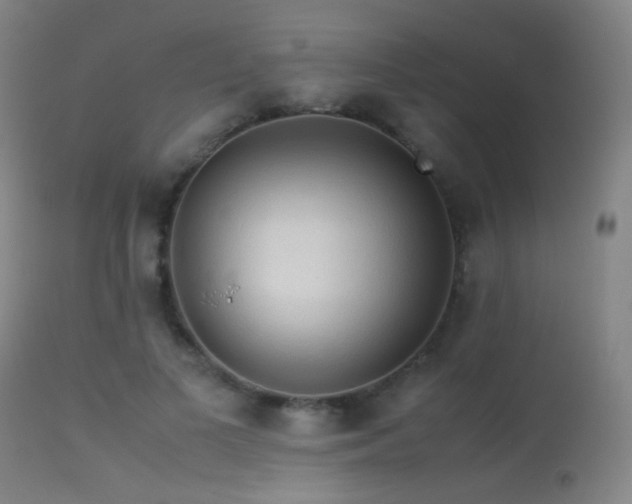 X0000113240693200909171603