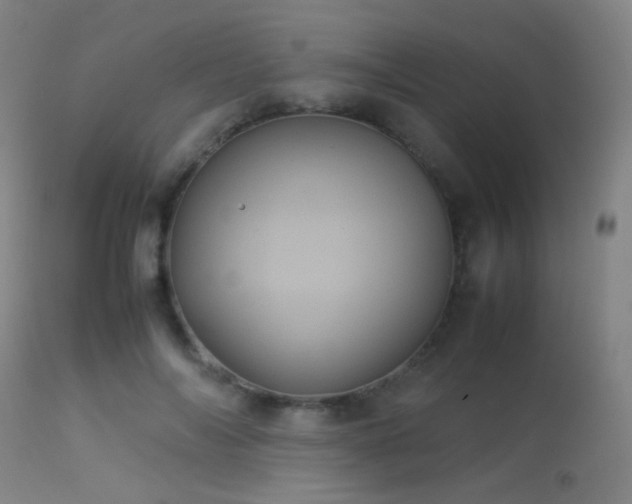 X0000113240694200909171603