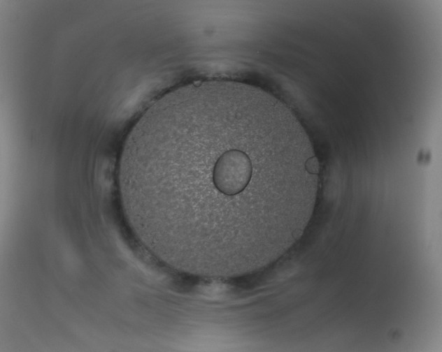 X0000113240695200909171603