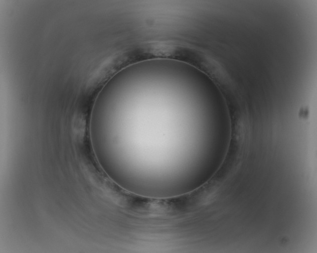 X0000113240697200909171603