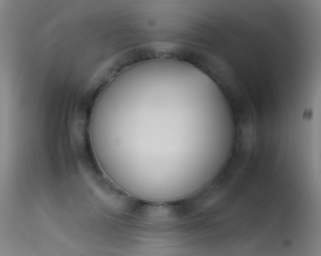 X0000113240698200909171603